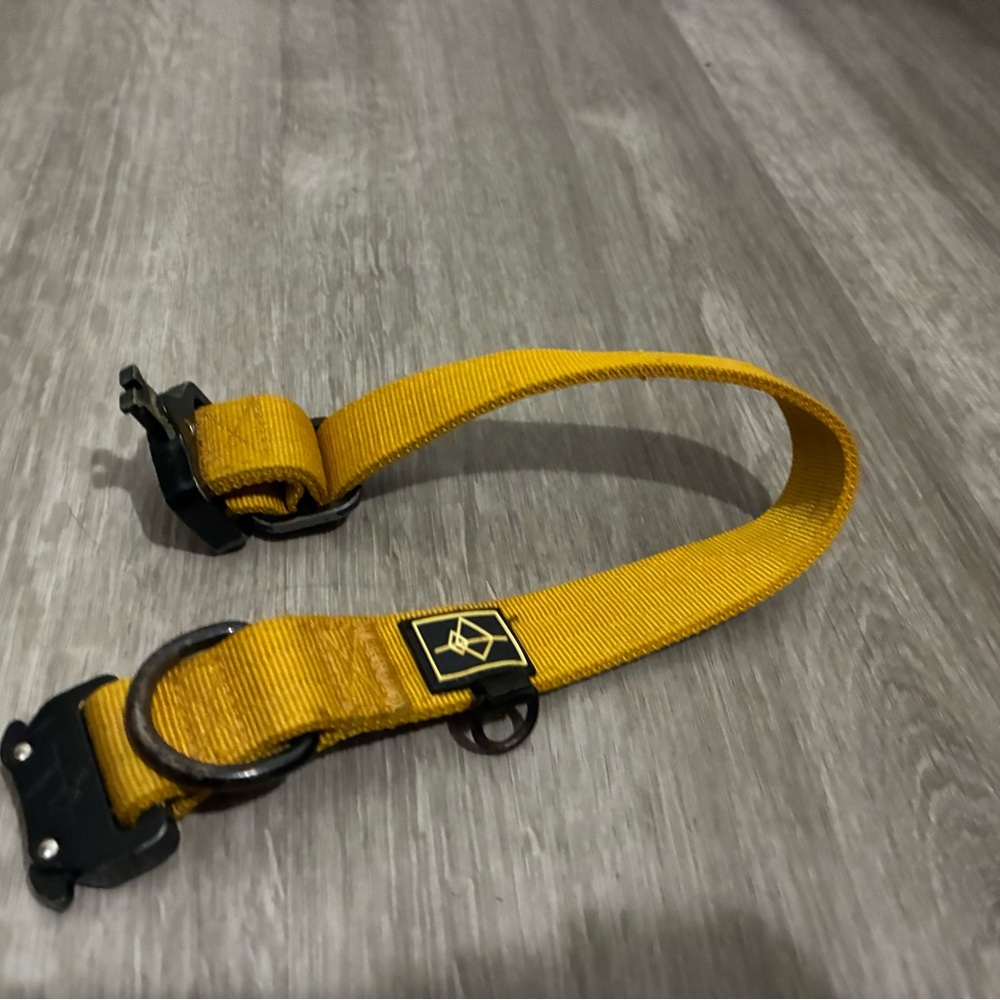 Durable Mustard Yellow Dog Collar- used